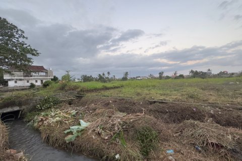 Земельный участок в Менгви, Бадунг,  (9328) 5