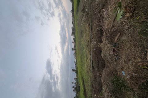 Земельный участок в Менгви, Бадунг,  (9328) 4