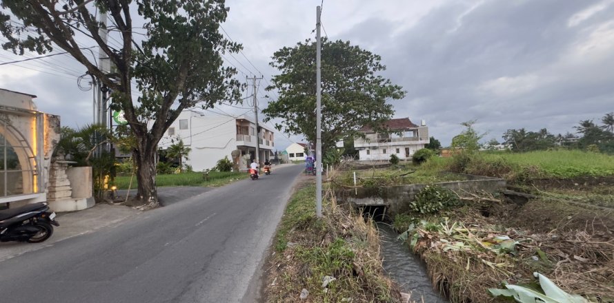 Земельный участок в Менгви, Бадунг,  (9328)