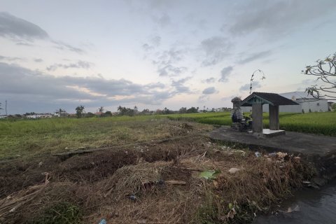 Земельный участок в Менгви, Бадунг,  (9328) 3