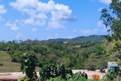 Land in Pecatu, Badung, Bali (12139) 7