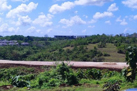 Land in Pecatu, Badung, Bali (12139) 5