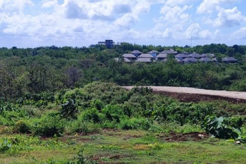 Land in Pecatu, Badung, Bali (12139) 6