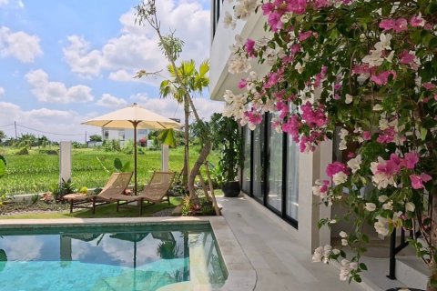 2 bedrooms Villa in Mengwi, Badung, Bali (14187)