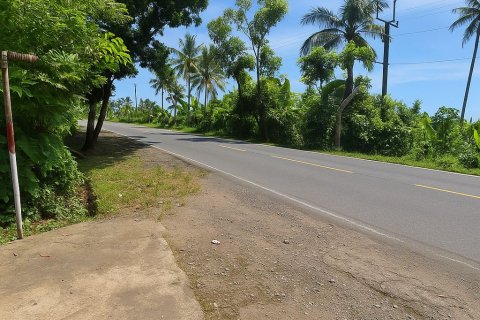 Земельный участок в Джембрана,  (9345) 1