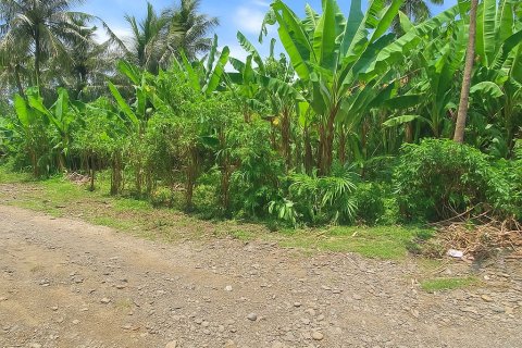 Земельный участок в Джембрана,  (9345) 2