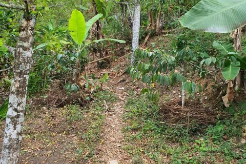 Land in Buleleng,  (9344) 11