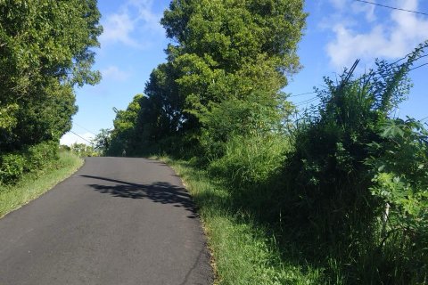 Land in Buleleng,  (9344) 2