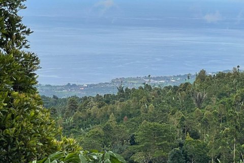 Land in Buleleng,  (9344) 3