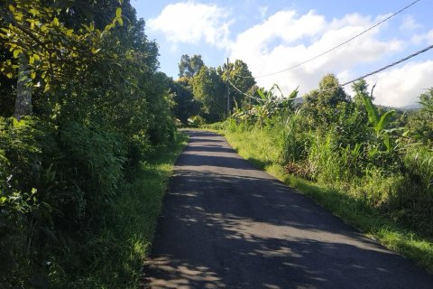 Land in Buleleng,  (9344) 4