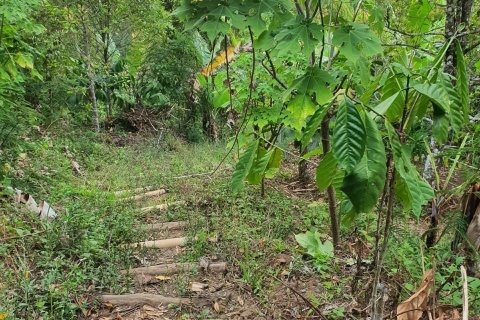 Land in Buleleng,  (9344) 9