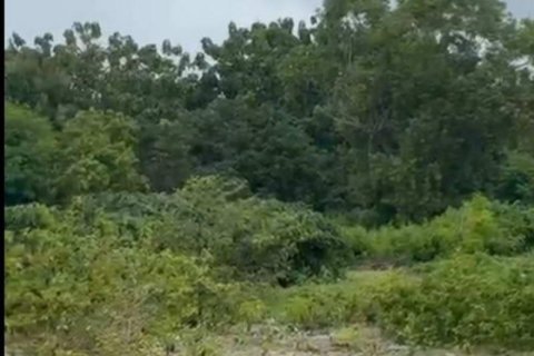 13475m2 Land in South Kuta, Badung,  (10110) 3