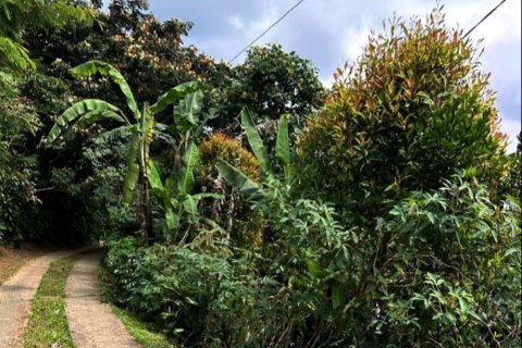 Land in Buleleng, Bali (12198)