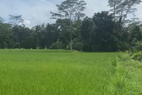Land in Gianyar, Bali (12199)