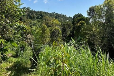 Land in Buleleng, Bali (12195) 4