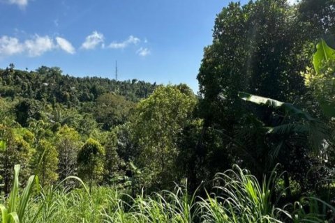 Land in Buleleng, Bali (12195) 3