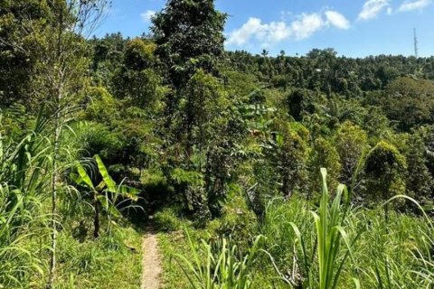 Land in Buleleng, Bali (12195)