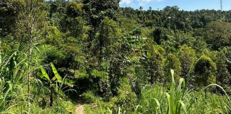 Land in Buleleng, Bali (12195)