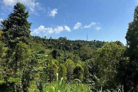 Land in Buleleng, Bali (12195) 2