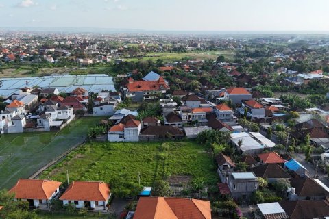 Land in Mengwi, Badung, Bali (11775)