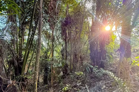 Land in Cepaka, Kediri, Tabanan, Bali (14041) 3