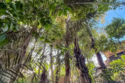 Land in Cepaka, Kediri, Tabanan, Bali (14041) 9