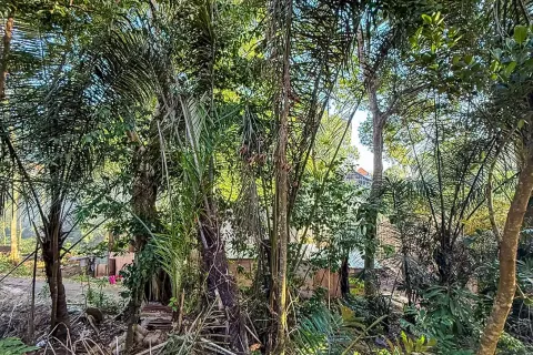 Land in Cepaka, Kediri, Tabanan, Bali (14041) 5