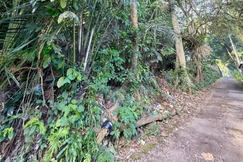 Land in Cepaka, Kediri, Tabanan, Bali (14041) 4