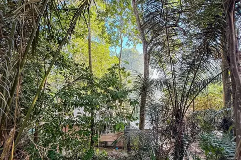Land in Cepaka, Kediri, Tabanan, Bali (14041) 7