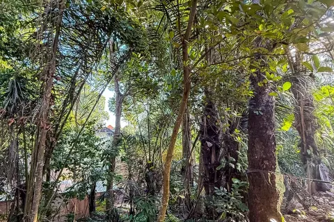 Land in Cepaka, Kediri, Tabanan, Bali (14041) 6