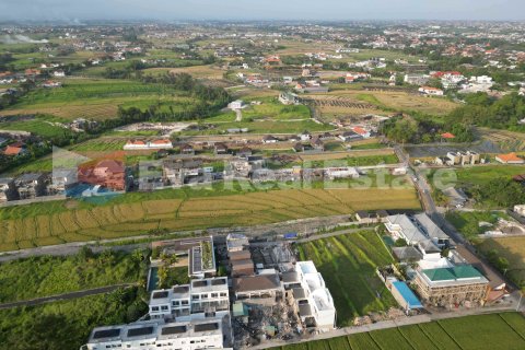 500m2 Land in Pererenan, Mengwi, Badung, Bali (14791) 6