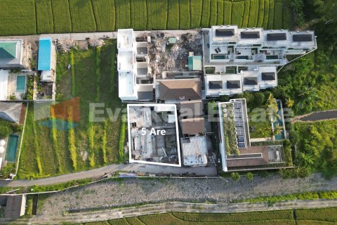 500m2 Land in Pererenan, Mengwi, Badung, Bali (14791) 5