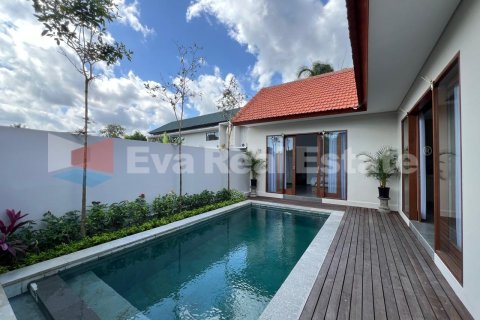 2 bedrooms Villa in Tumbak Bayuh, Mengwi, Badung, Bali (14787)