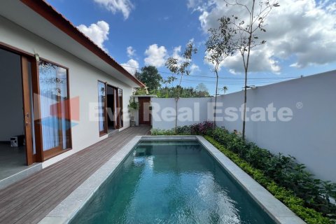 2 bedrooms Villa in Tumbak Bayuh, Mengwi, Badung, Bali (14787) 3