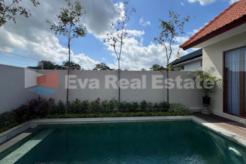 2 bedrooms Villa in Tumbak Bayuh, Mengwi, Badung, Bali (14787) 4