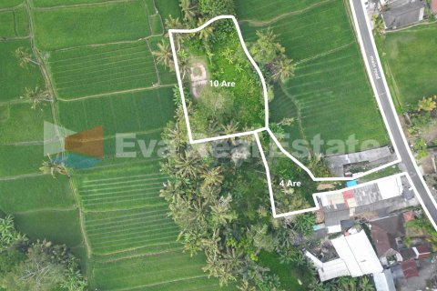 1400m2 Land in Ubud, Gianyar, Bali (14789) 2