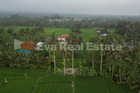 1400m2 Land in Ubud, Gianyar, Bali (14789) 4