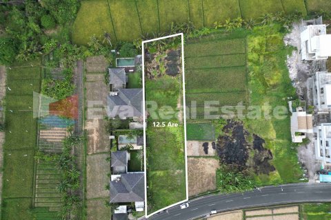 1250m2 Land in Tabanan, Bali (14788) 3