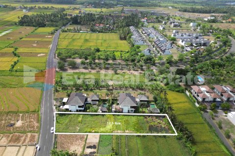 1250m2 Land in Tabanan, Bali (14788) 4