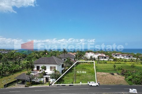 1250m2 Land in Tabanan, Bali (14788) 2