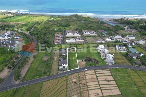 1250m2 Land in Tabanan, Bali (14788)