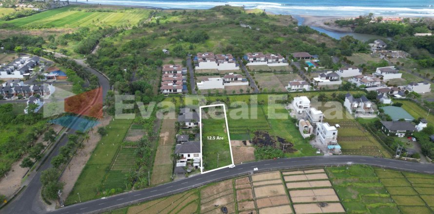 1250m2 Land in Tabanan, Bali (14788)