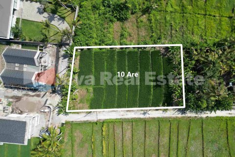 1000m2 Land in Kediri, Tabanan, Bali (14790) 4