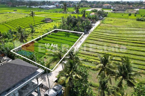 1000m2 Land in Kediri, Tabanan, Bali (14790) 2