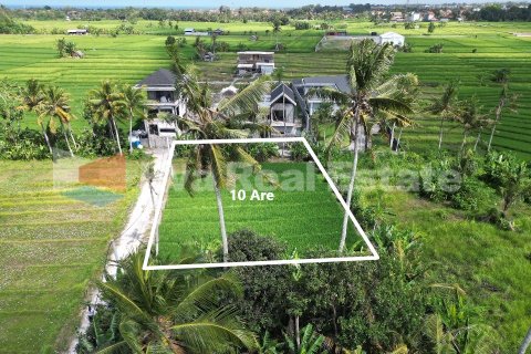 1000m2 Land in Kediri, Tabanan, Bali (14790) 3