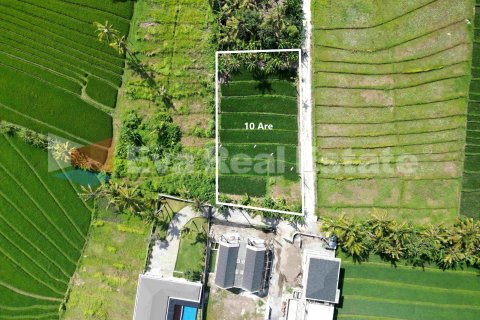 1000m2 Land in Kediri, Tabanan, Bali (14790) 5