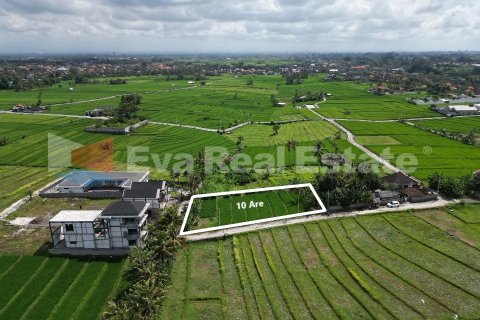 1000m2 Land in Kediri, Tabanan, Bali (14790) 6