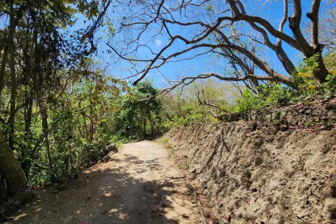 Land in Ungasan, Badung, Bali (15679) 9