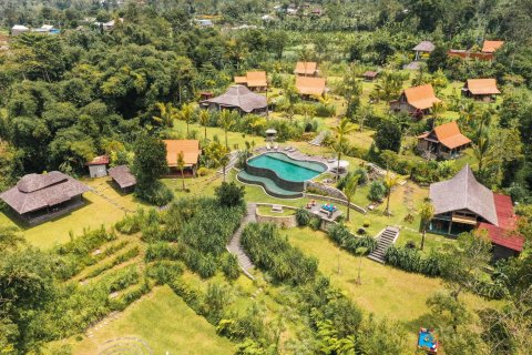 9 bedrooms Villa in Baturiti, Tabanan, Bali (15684)