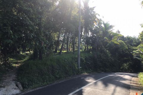Land in Tabanan, Bali (12186)
